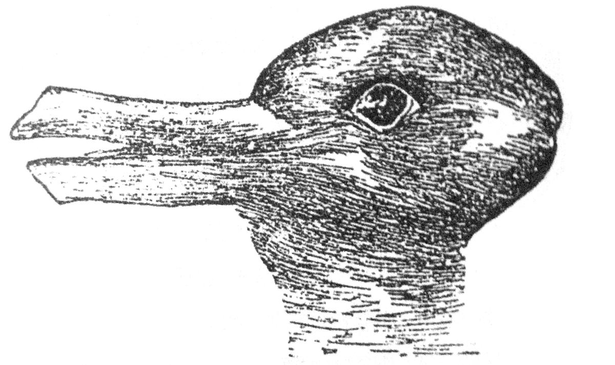 Duck or rabbit?